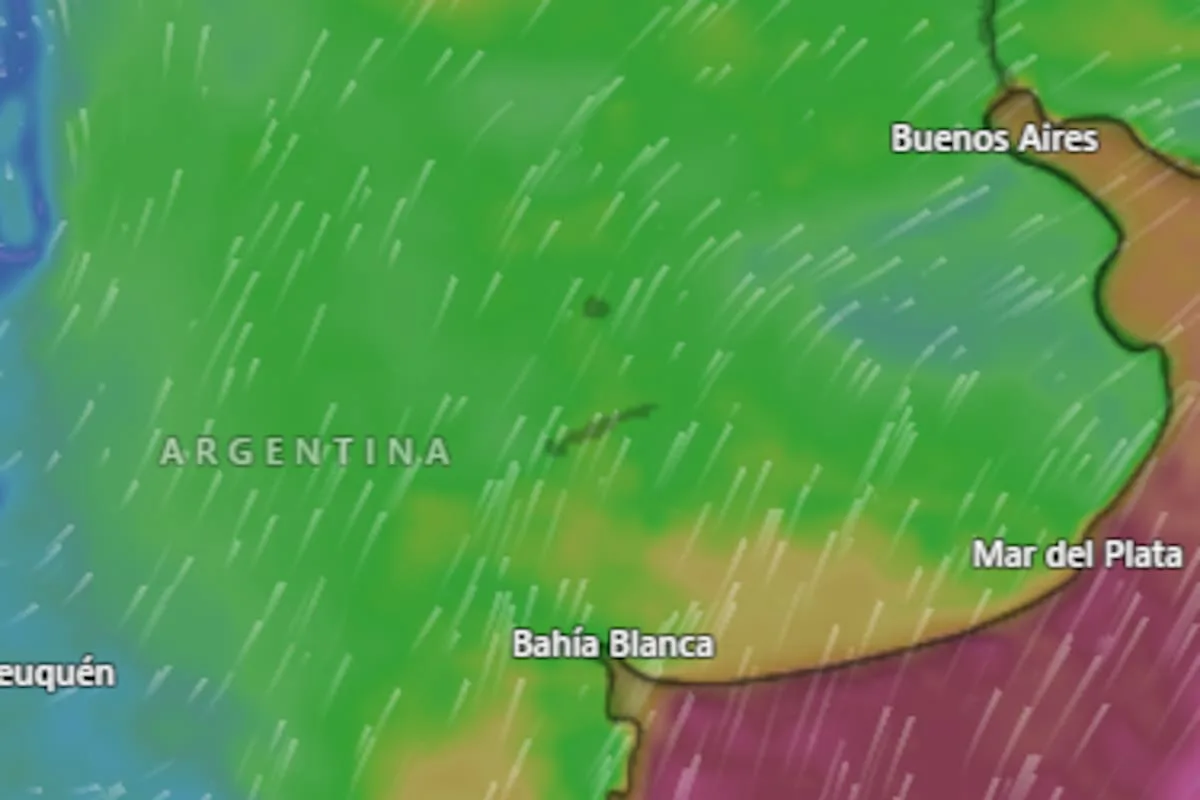 Alerta amarilla por frío y nieve: qué esperar y qué debe hacer el Estado