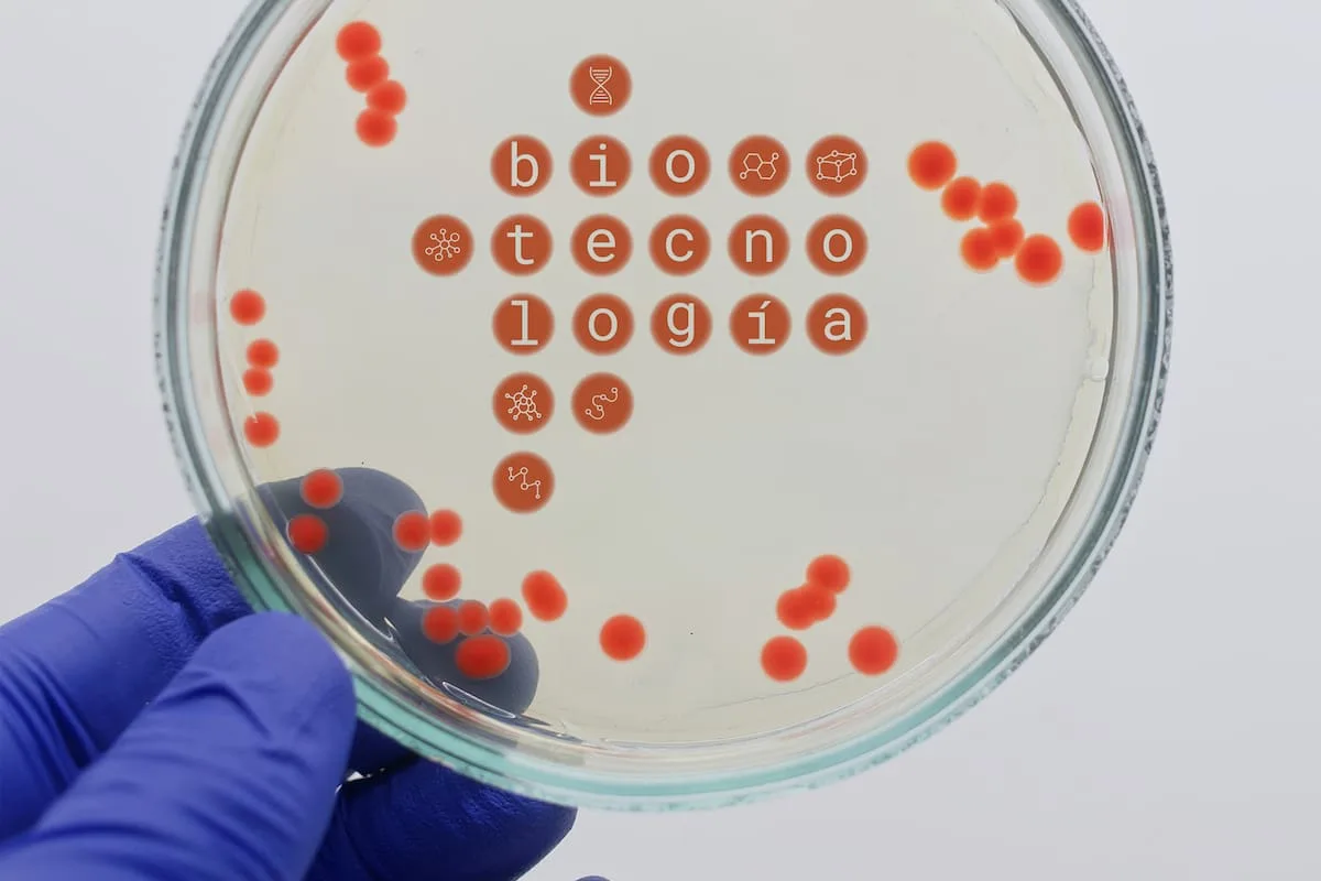 Biotecnología argentina: potencial en crecimiento y riesgos por la caída del financiamiento