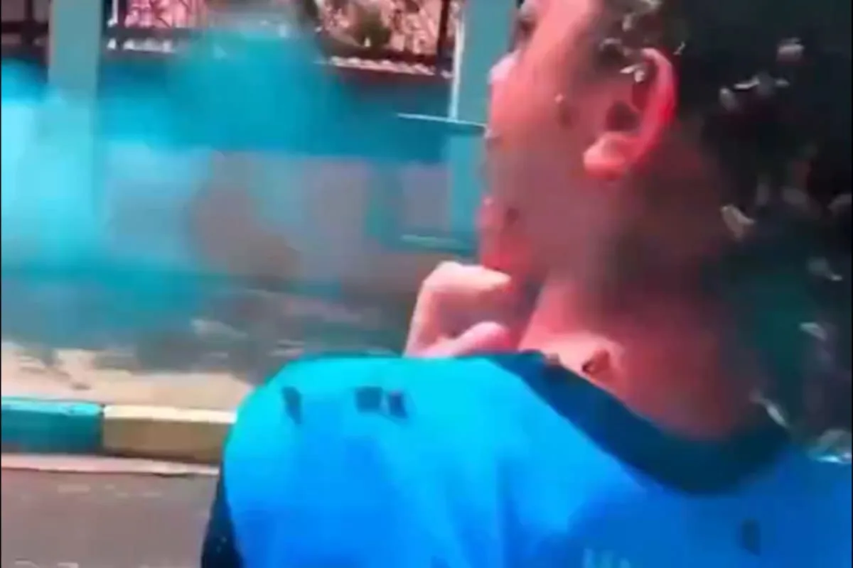 Niña de 12 años atacada por un enjambre de abejas en Brasil quedó en shock