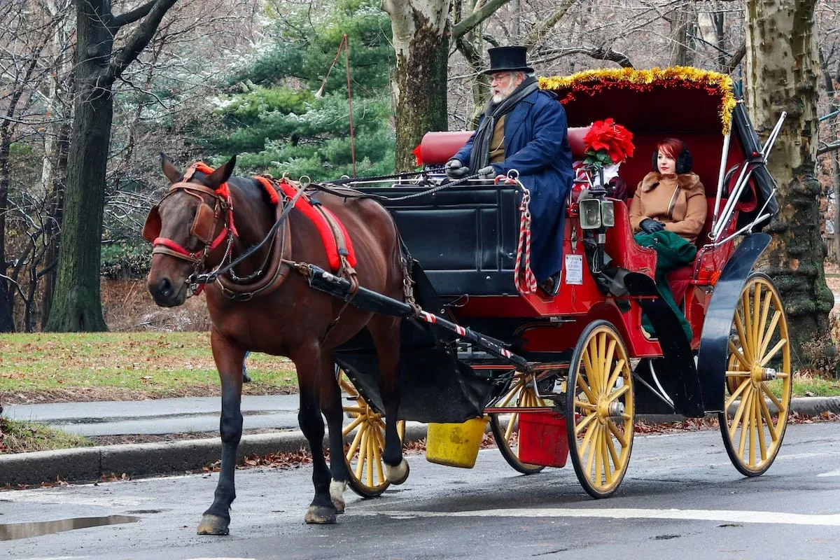 Nueva York prohíbe los carruajes tirados por caballos tras muerte en Central Park