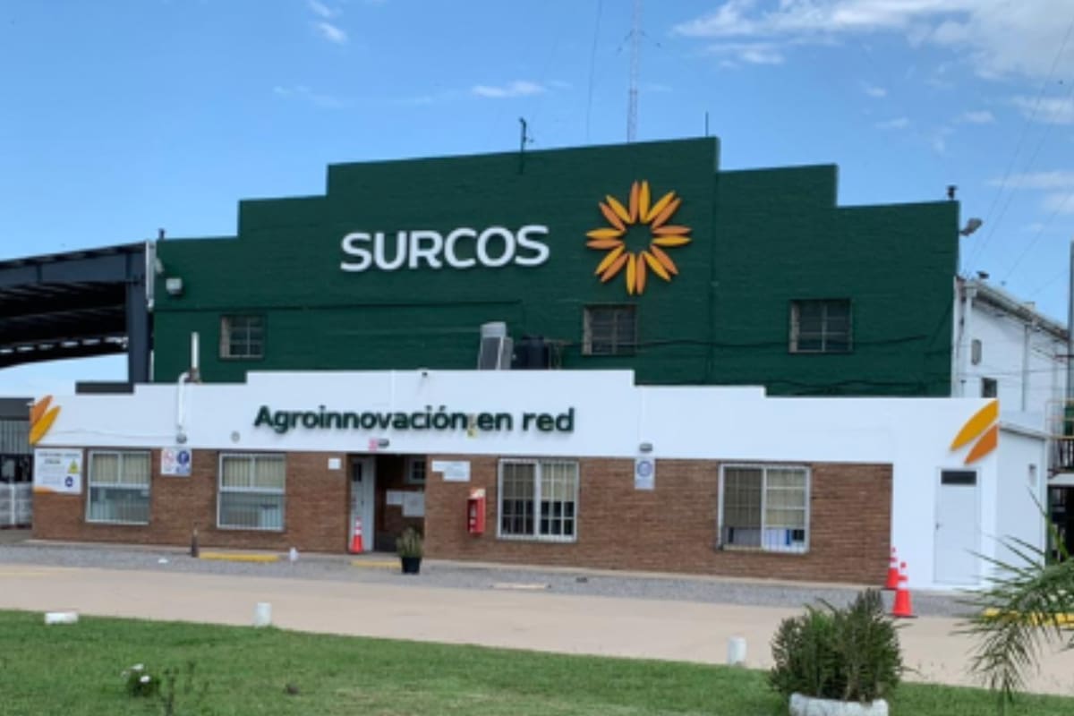 Deuda, caída de ventas y liquidez: cómo Surcos llegó al concurso